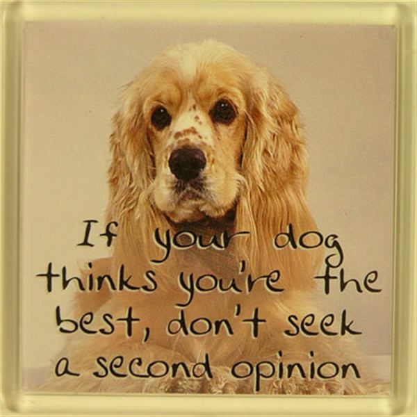 If Your Dog Thinks You're The Best, Don't Seek A Second Opinion Fridge 