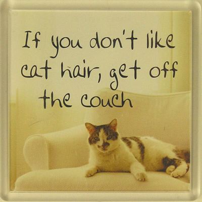 If You Don't Like Cat Hair Get Off The Couch Fridge Magnet 058 | Fridge ...