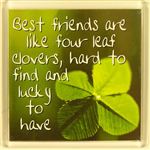 A best friend is a sister that destiny forgot to give you Fridge Magnet ...