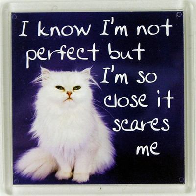 I know I'm not perfect but I'm so close it scares me Fridge Magnet 129 ...